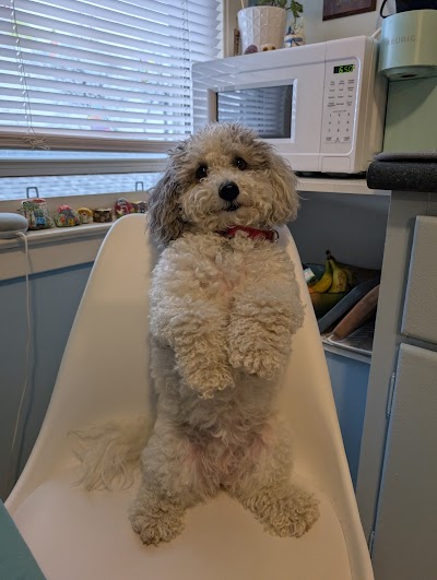 Greentown Cannabis Discount Hut - Central and Tecumseh #Cannabis delivery