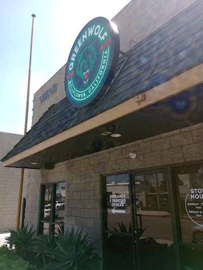 Greenwolf Bellflower