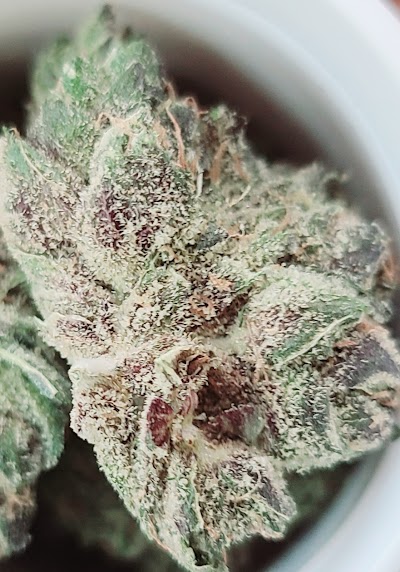 GrowHealthy Dispensary - Cape Coral