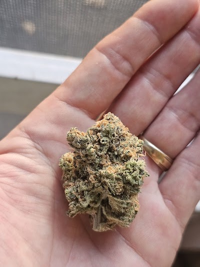 GrowHealthy Dispensary - Pensacola