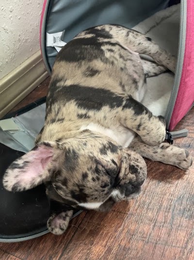 Happy Bud Dispensary