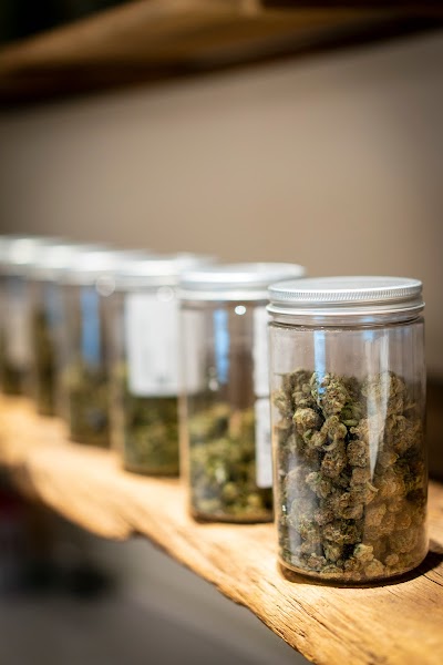 Harvest Cannabis Arkansas