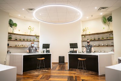 Harvest Cannabis Arkansas