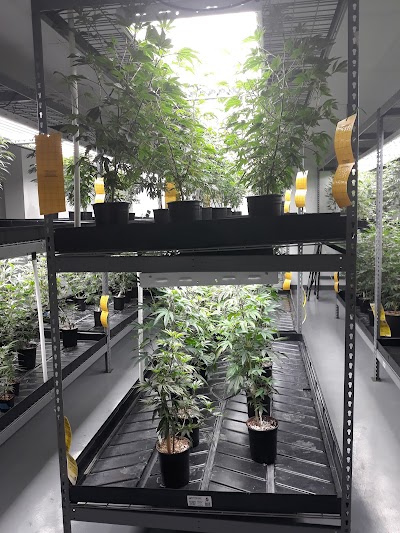 Harvest Health Dispensary/ Sand Springs, Ok.