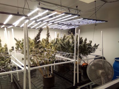 Harvest Health Dispensary/ Sand Springs, Ok.