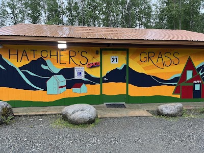 Hatcher's Grass