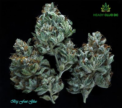 Heady Club DC Weed Delivery and Marijuana Dispensary