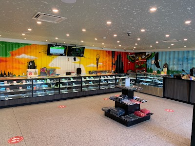 Healing House Medicinals