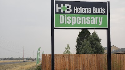 Helena Buds