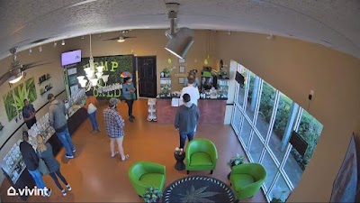 Hemp World Dispensaries