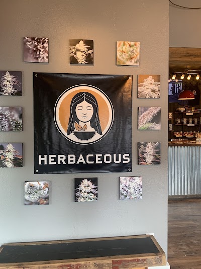 Herbaceous Dispensary Big Sky