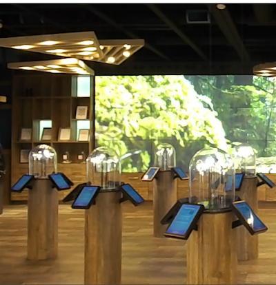 HerbNJoy - Chula Vista