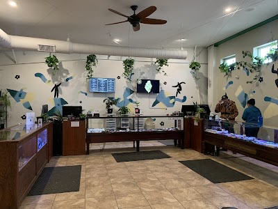High Grade Specialists Dispensary