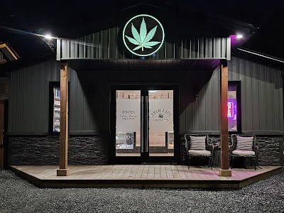High Life Cannabis Shop