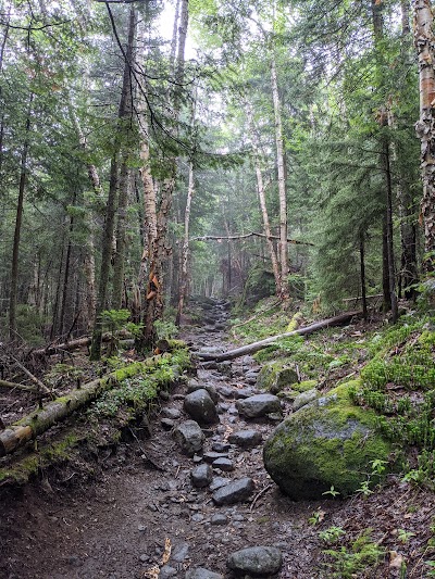 High Peaks Wilderness