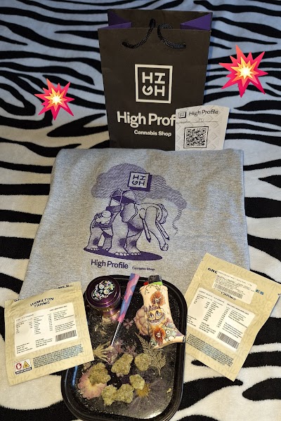 High Profile of Somerdale Dispensary