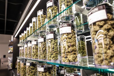 High Profile of Webberville Dispensary