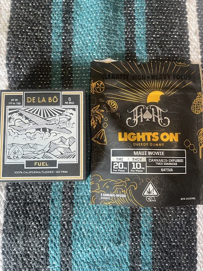 High Season - Fontana