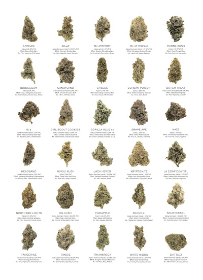 High There DC Dispensary & Weed Delivery