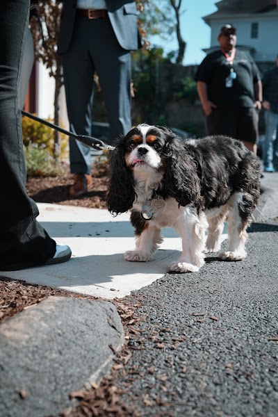 Higher Collective Bridgeport