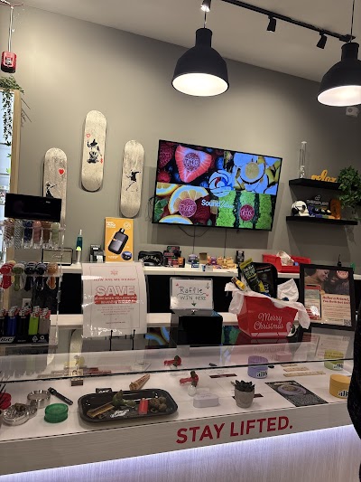 Higher Collective Bridgeport