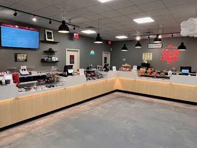 Higher Collective - Torrington