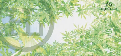 Higher Level Greenfield