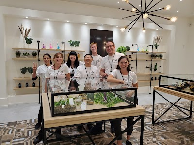 HighLife Cannabis Guelph