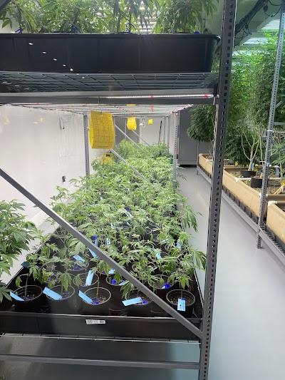 HIGHLY Recreational Dispensary (Adult use 21+) - Boothbay