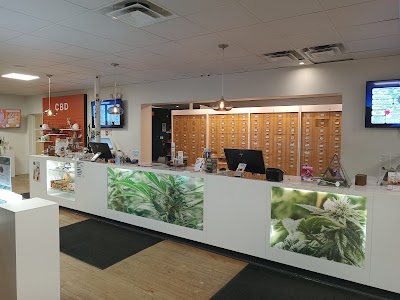 HighNorth Mystique of Maine: Portland (Congress St)