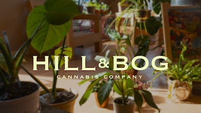 Hill & Bog Cannabis Company