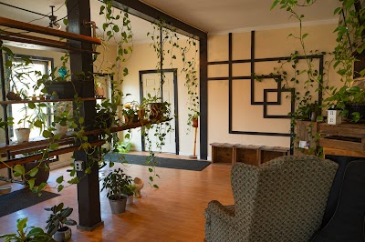 Hill & Bog Cannabis Company