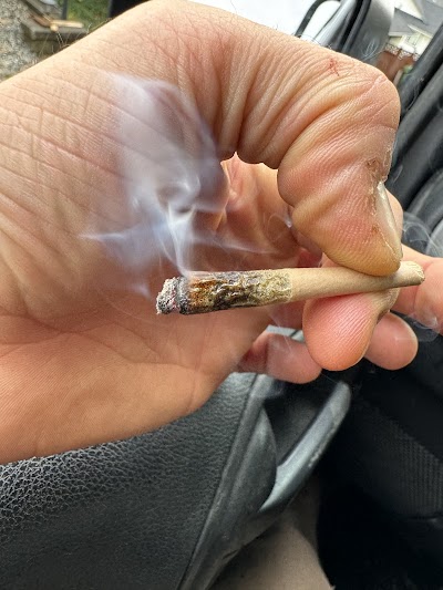 Hive Cannabis Dispensary Abbotsford