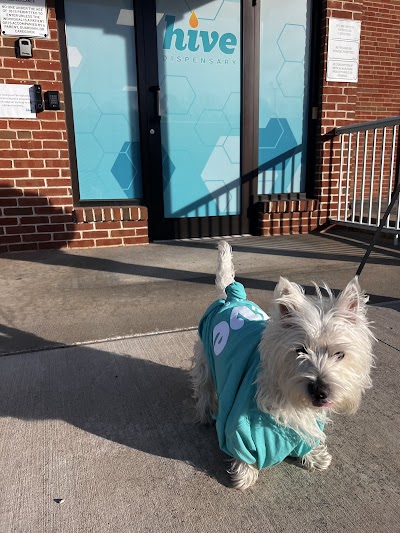 Hive Dispensary