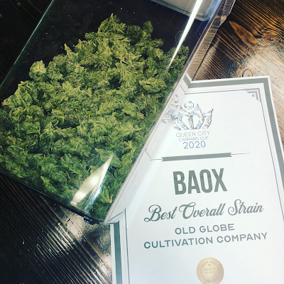 Holistic Health Solutions