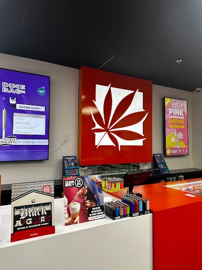 Holland Daze | Brampton