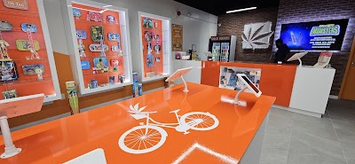 Holland Daze | Erin Mills