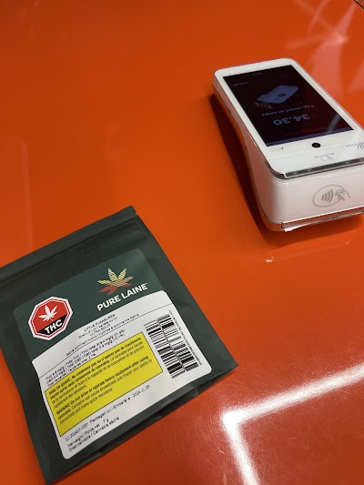 Holland Daze | Markham & Steeles