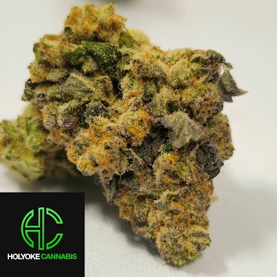 Holyoke Cannabis Dispensary