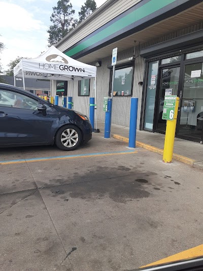 Homegrown Cannabis Company