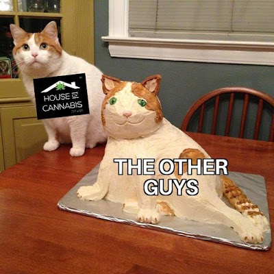 House of Cannabis - Tacoma (Dispensary)