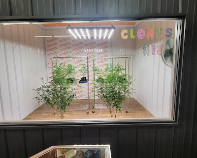 Humboldt Cannabis Medical Marijuana Dispensary