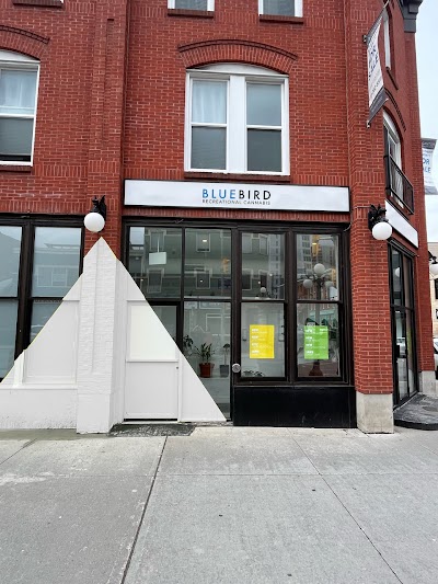 Hunny Pot Cannabis | ByWard Cannabis Store Ottawa