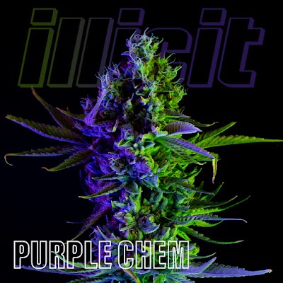 Illicit Gardens Dispensary Secaucus