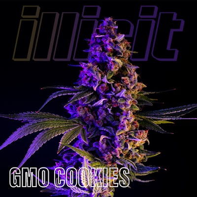 Illicit Gardens Dispensary Secaucus