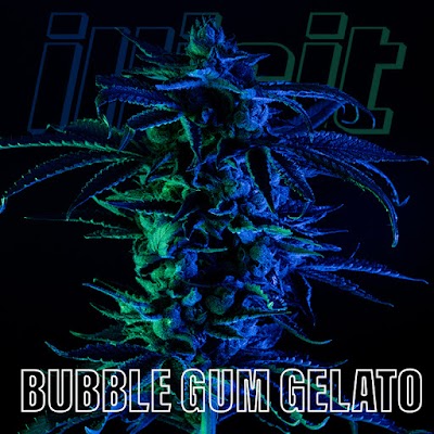 Illicit Gardens Dispensary Secaucus