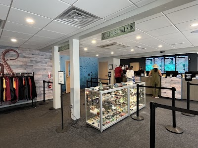 In Good Health - Sandwich Marijuana Dispensary