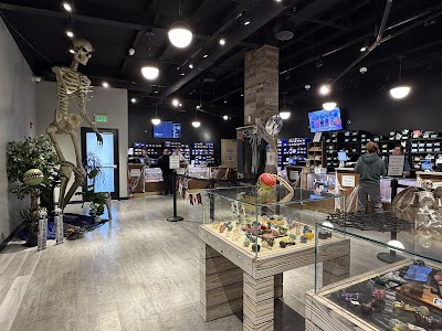 In Good Health - Taunton Marijuana Dispensary