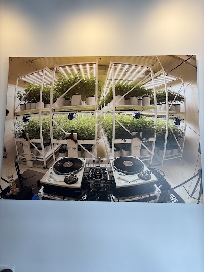 Indico Dispensary (Recreational & Medical)