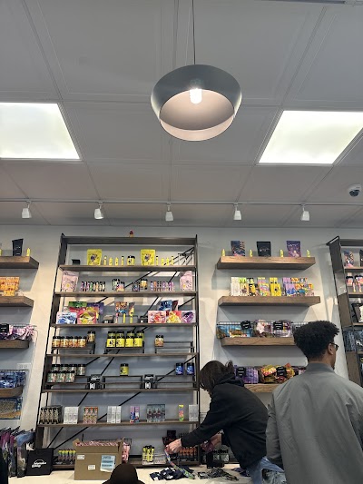 Information Entropy - Cannabis Dispensary - Ann Arbor